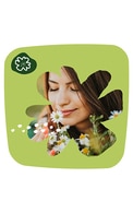 NATURELLA Camomile Light Multiform ежедневные прокладки, 100шт.