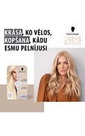 CRÈME SUPREME matu balinātājs, L 1++ Extreme Lightener Plus