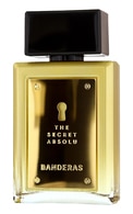 ANTONIO BANDERAS EdP The Secret Absolu parfimērijas ūdens vīriešiem, 50ml