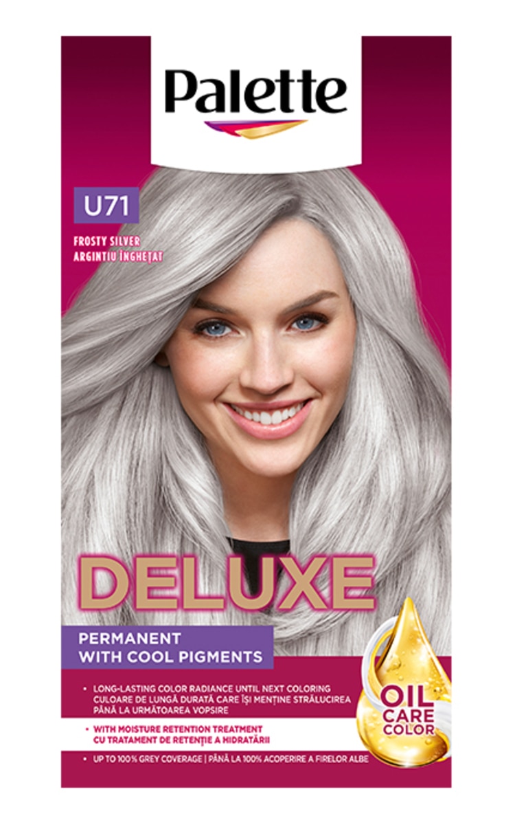 PALETTE DELUXE PALETTE Deluxe matu krāsa, U71 Frosty Silver 1 gab.