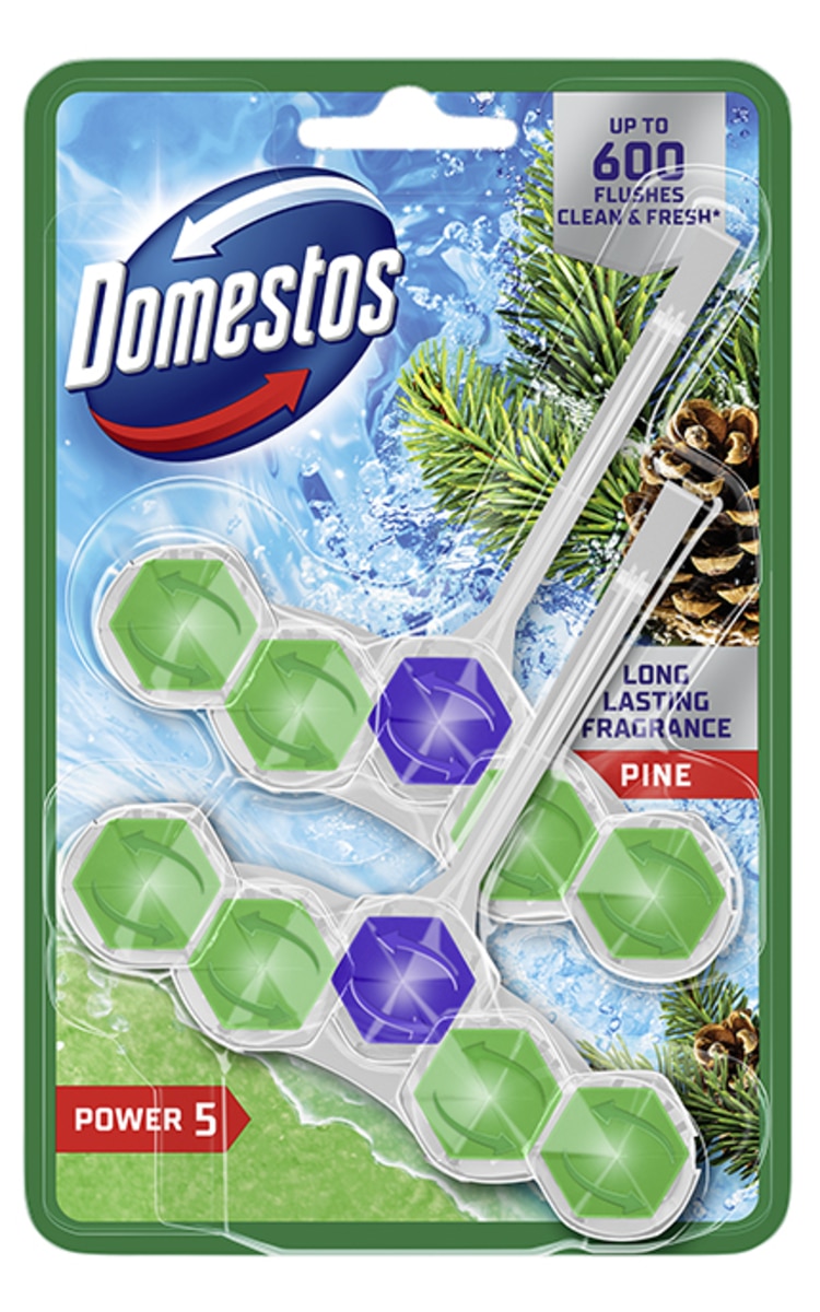 DOMESTOS DOMESTOS Power5 Duo Pine туалетный блок, 2x50г