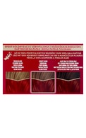 PALETTE Deluxe краска для волос, 6-888 (575) Flaming Red