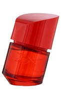 &nbsp;