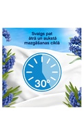 LENOR Capri veļas mīkstinātājs, 1239ml
