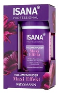 ISANA PROFESSIONAL Maxi Effekt моделирующая пудра для волос, 10г