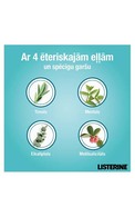 LISTERINE Zero Mild Mint средство для полоскания рта, 250мл